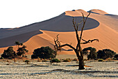 Die Sossusvlei Dünen. Namib Wüste. Namibia. Afrika.