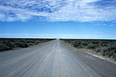 Unbefestigte Straße durch Pampa, in der Nähe von Tombo, Patagonia, Argentinien
