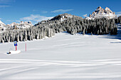 Snow covered landscape near Misurina, in the Background Tre Cime di Lavaredo, Dolomites, Italy