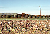 Verrostete Ketten von Kettenfahrzeugen hinter Bahngleisen, Mojave-Wüste, Kalifornien, USA