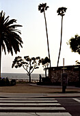 Venice beach, los angeles, california, usa