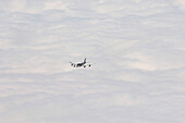Aircraft above cloud layer