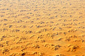 Wüste in Algerien, Luftaufnahme