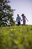 Couple walking down on meadow holding hands