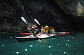 Kajakfahren Tasmansee, Neuseeland