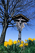 Cross with flower decorations, Antwort, Chiemgau, Upper Bavaria, Bavaria, Germany