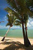 Boat and palms at Mae Nam Beach, Hat Mae Nam, Ko Samui, Thailand