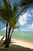 Boat and palms at Mae Nam Beach, Hat Mae Nam, Ko Samui, Thailand