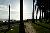 venice beach, Los Angeles, Kalifornien, Vereinigte Staaten von Amerika, U.S.A.
