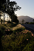 Landstraße in idyllischer Landschaft, Queensland, Australien