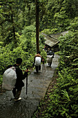 Pilgerweg und Treppen zum Gipfel, Emei Shan,Pilgerweg, Treppen, Träger, Berge Emei Shan, Provinz Sichuan, Weltkulturerbe, UNESCO, China, Asien