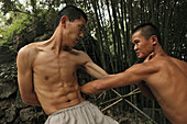Duel and training between two Shaolin monks, Shaolin Monastery, known for Shaolin boxing, Taoist Buddhist mountain, Song Shan, Henan province, China