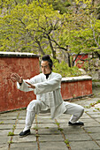 Taoistischer Mönch Zhang Qingren demonstriert die hohe Kunst des Taichi, entlegenes Kloster Hou Shi Wu, Steinfestung, Taishan, Provinz Shandong, UNESCO Weltkulturerbe, China, Asien