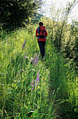 Hiker in a field, Lower Engadin, Grisons, Switzerland