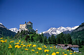 Tarasp castle above a sea of flowers, Lower Engadin, Grisons, Switzerland