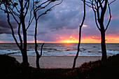 Ostsee-Strand bei Sonnenuntergang, Darss, Nationalpark Vorpommersche Boddenlandschaft, Mecklenburg-Vorpommern, Deutschland