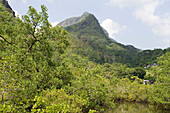 Mangroves & Mountains,Port Launay Marine National Park, Seychelles