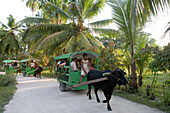 Tour im Ochsenkarren, Touristen, Union Plantation, La Digue Island, Seychellen