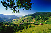 Near Wiedener Eck, Black Forest, Baden-Wuerttemberg, Germany