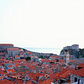 Blick über die Dächer von Dubrovnik, Dalmatien, Kroatien