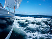 Sailboat cutting through water, Bay of Kiel between Germany and Denmark