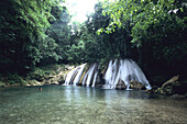 View of Reach Falls, Near Muirton, Jamaica, Carribean