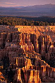 Bryce Canyon in Morning Light, View from Bryce Point, Bryce Canyon National Park, Utah, USA