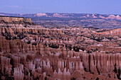 Bryce Canyon in der Morgendämmerung, Bryce Point, Bryce Canyon National Park, Utah, USA