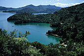 Secluded Bay in Marlborough Sounds, Near Picton, Marlborough Sounds, South Island, New Zealand
