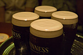 Klee auf gezapftem Guinness, The Harbour Pub, Belturbet, County Cavan, Ireland