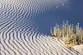 Sandstruktur in Dünen, White Sands National Monument, Chihuahua Wüste, New Mexico, USA, Amerika