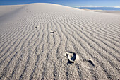 Footprints in dunes, White Sands National Monument, New Mexico, USA