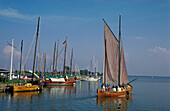 Wustrow harbour, Fischland, Mecklenburg-pomerania, Germany, Europe