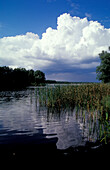 Useriner See, Müritz Nationalpark, Mecklenburg-Vorpommern, Deutschland, Europa