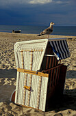 Beach chairs at the baltic sea, near Ahlbeck, Usedom, Mecklenburg-Pomerania, Germany, Europe