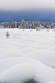 A lake in a winter scenery, Almtal, Upper Austria, Austria