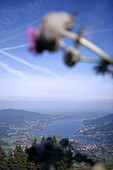 View from Wallberg peak over lake Tegernsee with thistle in the foreground, Bavaria, Germany
