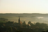 Pegnitz Buchenbach in the morning mist, Pegnitz, Franconian Switzerland, Franconia, Bavaria, Germany