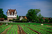 Neunhof castle in Knoblauchsland, near Nuremberg, Franconian, Bavaria, Germany