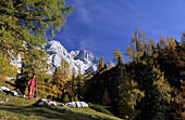 Mountaineerer with larches in autumn colours and view to Hochkesselkopf and Torstein, Dachstein range, Salzburg, Austria