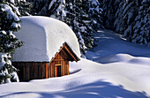 Deeply snow covered shed at Kalmberg, Dachstein Range, Upper Austria, Austria