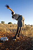 Ein Mann, ein Wildhüter des Gondwana Kalahari Parkes steht auf zwei Strausseneiern. Er demonstriert wie solid die Eier sind. Das Nest wurde schon vor langem verlassen, die Eier stanken bereits. Gondwana Kalahari Park, Kalahari Wüste, Namibia, Afrika.