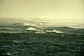 Windsurfer beim Windsurfen, Nordsee, Sylt, Deutschland, Wellen, Sport