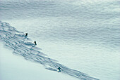 Three skiers skiing down slope