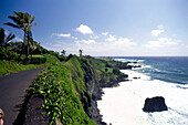 View of hana Road, Maui, Hawaii, USA, America