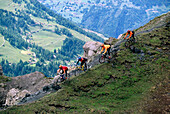 Vier Leute beim Mountainbiking, Arosa, Graubünden, Schweiz, Europa