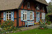 Wustrow, Reetdachhäuser, Mecklenburg-Vorpommern, Deutschland, Europa