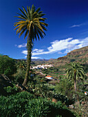 Fataga, Gran Canaria, Canary Islands, Spain
