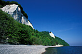 Chalk cliff, Jasmund National Park, Rügen Island, Mecklenburg-Western Pomerania, Germany, Europe