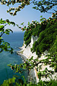 Blick auf Wissower Klinken, Kreideküste, Nationalpark Jasmund, Insel Rügen, Mecklenburg Vorpommern, Deutschland, Europa